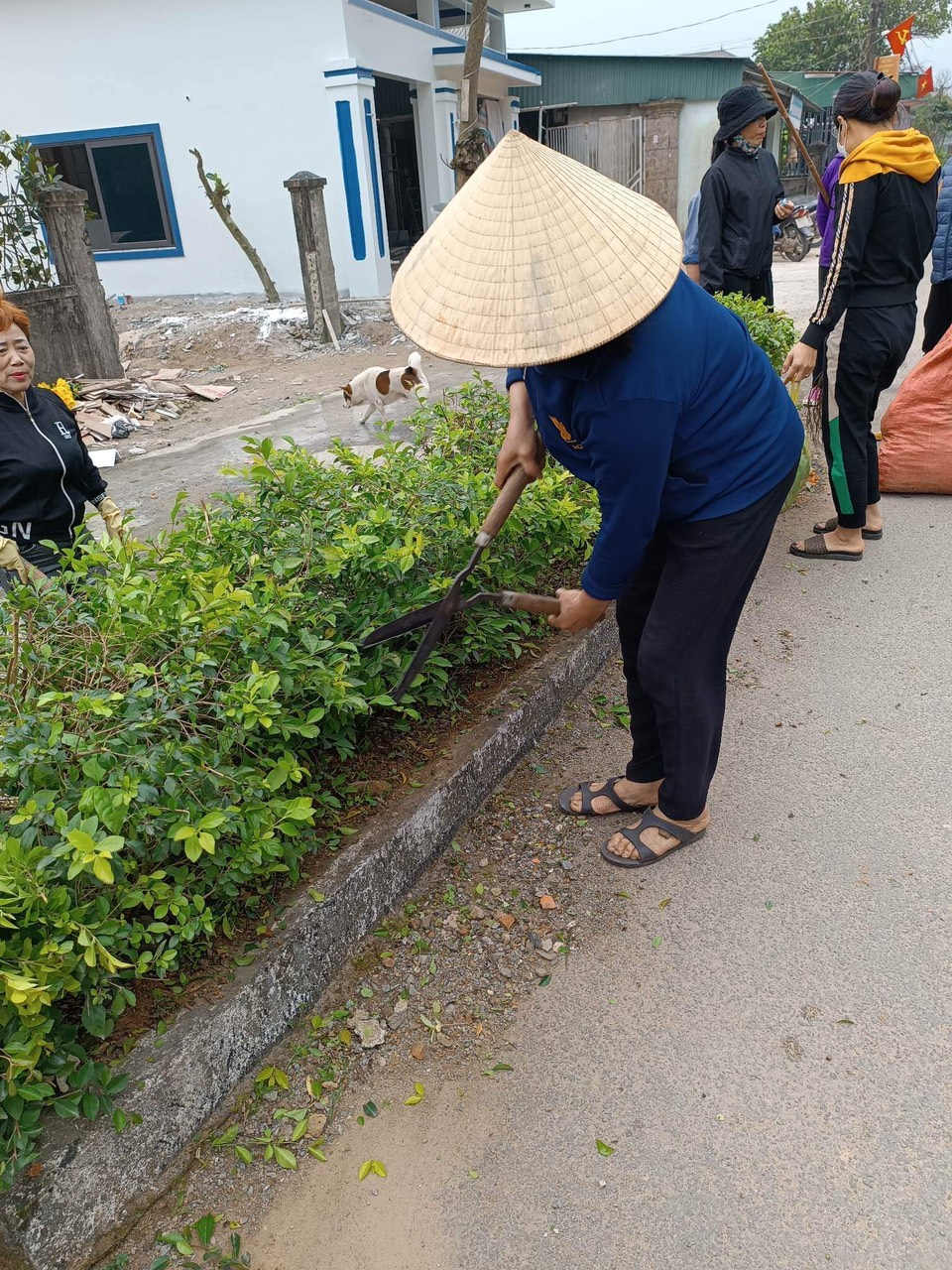 Ngày 04/03/2023 chi hội phụ nữ thôn Trung Thượng cắt tỉa, dọn vệ sinh đoạn đường tự quản của chi hội và thu gom rác thải tái chế tại Ngôi nhà xanh.